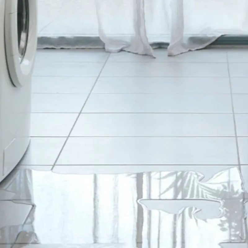 Appliance Leak Cleanup in Houston County, TX