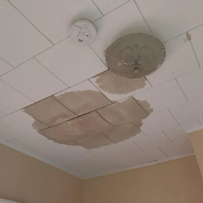 Ceiling Water Damage Repair in Houston County, TX