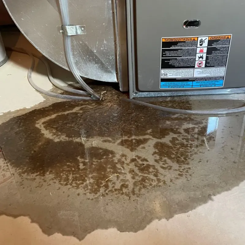 Pipe Burst and Leak Restoration in Houston County, TX