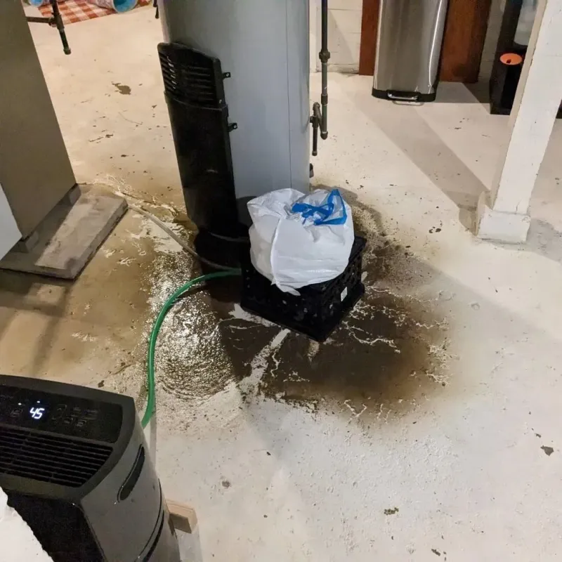 Sewage Backup Cleanup Service in Houston County, TX